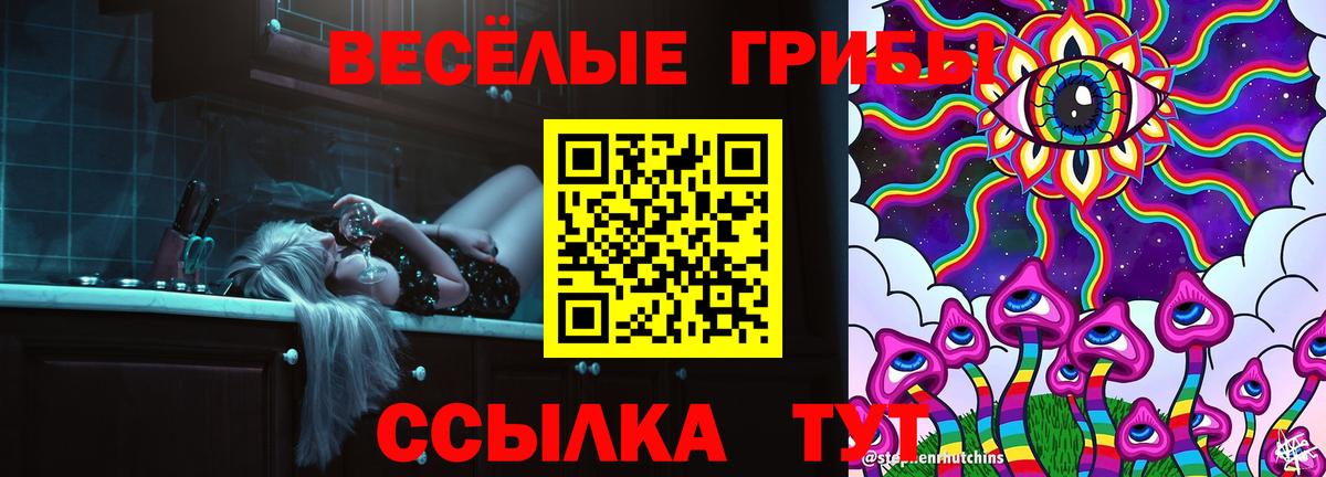 Галлюциногенные грибы Psilocybe Чистополь