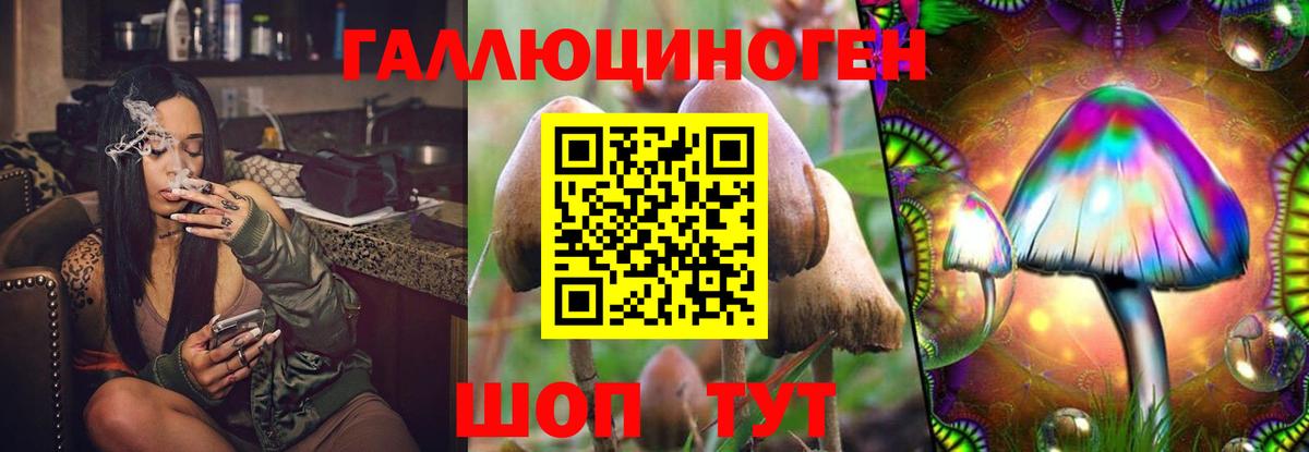 Псилоцибиновые грибы MAGIC MUSHROOMS  как найти   Чистополь  Псилоцибиновые грибы Psilocybe  Вход с VPN 